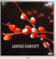 /album/photo-gallery-canvas-uri/decoratiuni-de-perete-canvas-lc-1294-jpg/